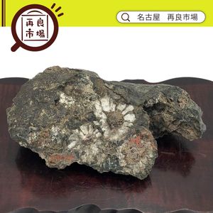 水石　菊花石 a01】 菊花石 25.9kg 鑑賞石 飾り石 天然石 水石 原石 盆石 自然石 菊