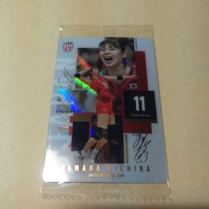 山田二千華の値段と価格推移は？｜49件の売買データから山田二千華の