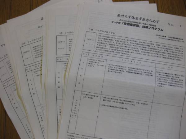 ビッテ式家庭保育園　指導プログラム36枚　_1