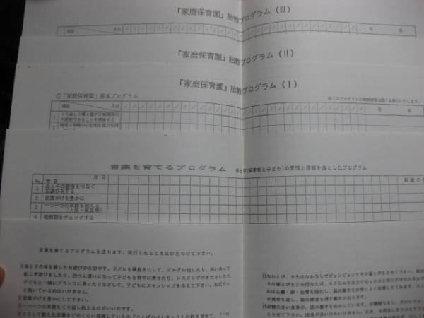 ビッテ式家庭保育園　指導プログラム36枚　_2