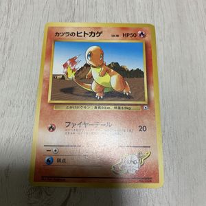 カツラのヒトカゲの値段と価格推移は？｜2件の売買データからカツラの