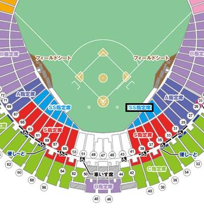 3/31 日本ハムvs西武【ＳＳ指定席１塁ペア】／ 札幌ドーム_1