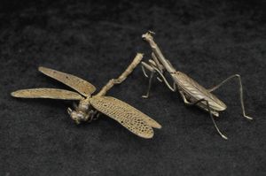 カマキリのYahoo!オークション(旧ヤフオク!)の相場・価格を見る｜Yahoo