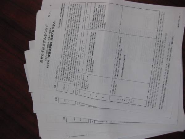 ビッテ式家庭保育園　指導プログラム36枚_2