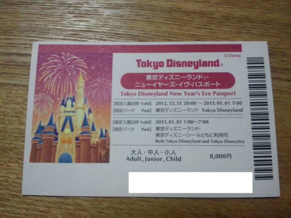 送料込☆東京ディズニーランド　カウントダウンチケット①_1