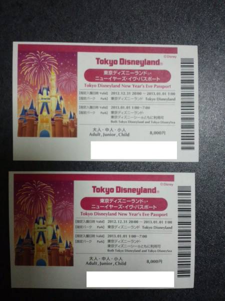 送料込☆東京ディズニーランド　カウントダウンチケット①_3