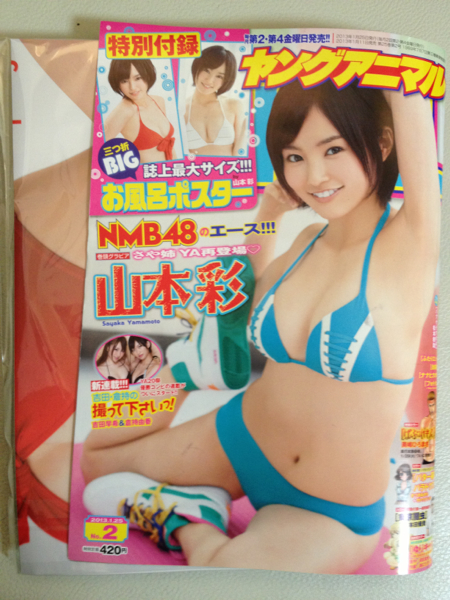 ヤングアニマル2013NO.2特別付録お風呂ポスター付き山本彩(メンズ