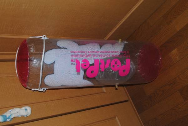 ポストペット棒型フロート浮き輪80cm 浮き輪 浮き具 売買されたオークション情報 Yahooの商品情報をアーカイブ公開 オークファン Aucfan Com