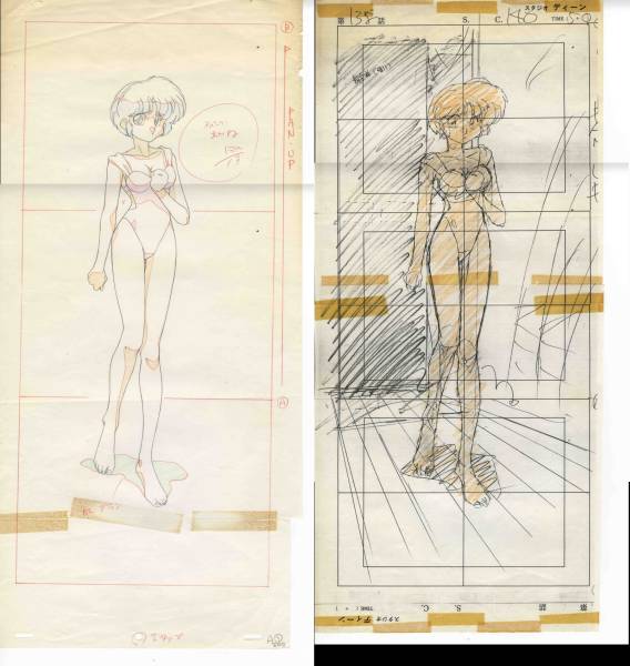 らんま1/2』天道あかねの水着大きめセル画です。29×61cm(らんま1/2