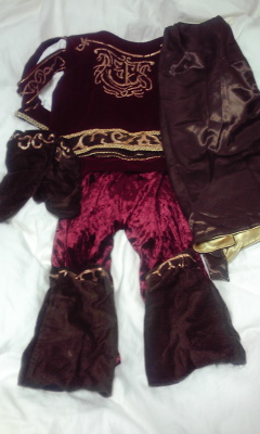 ディズニー 魔法にかけられて エドワード王子風なりきり衣装 110 105 114cm 売買されたオークション情報 Yahooの商品情報をアーカイブ公開 オークファン Aucfan Com