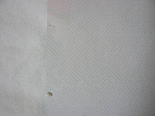 映画半券「恋のゆくえ」ミシェル・ファイファー_3