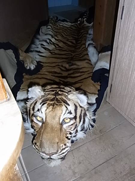 激安！正規品　イラン絨毯　ネイビーラグ 動物と花の模様　一生物 動物絨毯 本物 激安 正規品 イラン絨毯 ネイビーラグ 動物と花の模様 一
