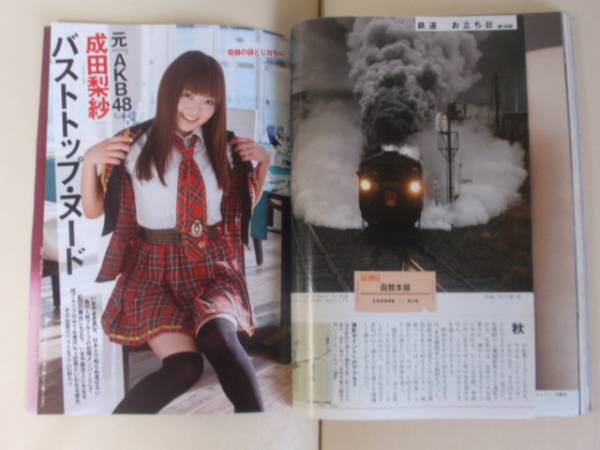 成田 梨紗 ヌード