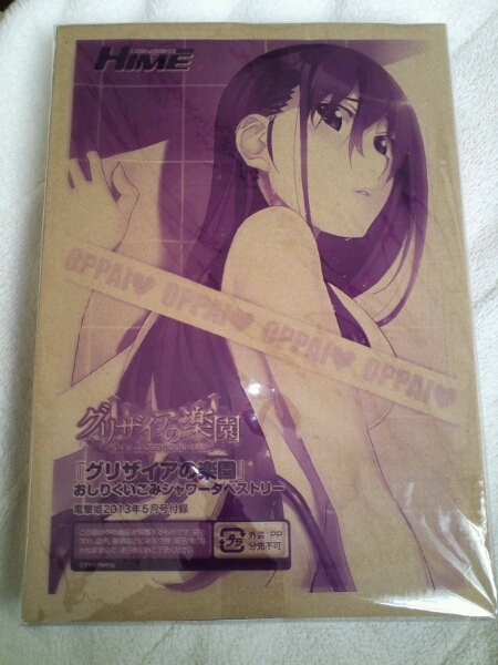 電撃姫 2013年5月号 付録 グリザイアの楽園 タペストリー 新品_1