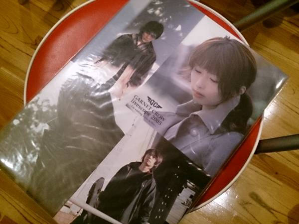 GARNET CROW live scope 2005 限定写真集 激レア ガーネット