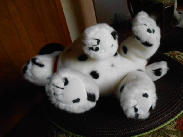 ■USA国旗刺繍入り　ｔｙ 犬のぬいぐるみ　BEANIE BUDDY_2