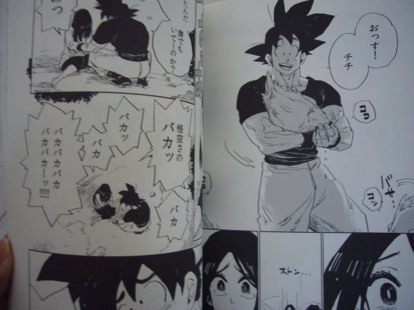 18禁】 ドラゴンボール 悟空×チチ 同人誌 (同人誌)｜売買された 