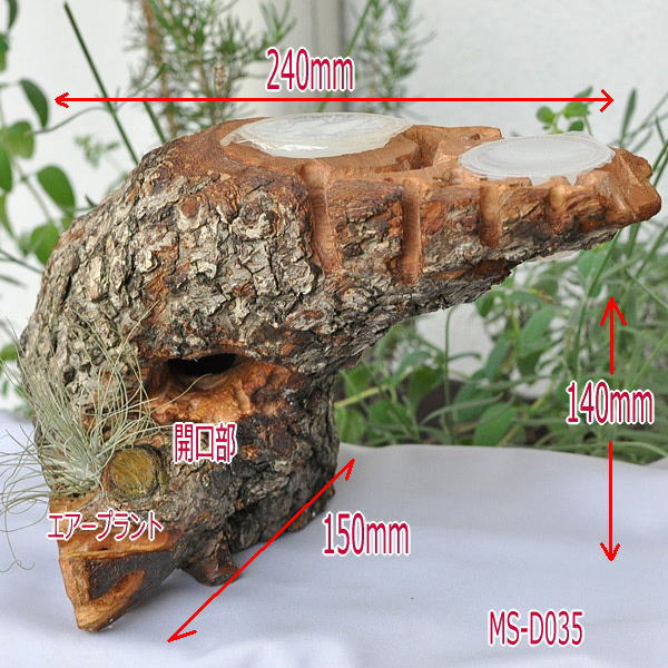 ◇◇天然木クワガタの隠れ家 樹洞【MS-D035】◇◇(止まり木、ほだ木
