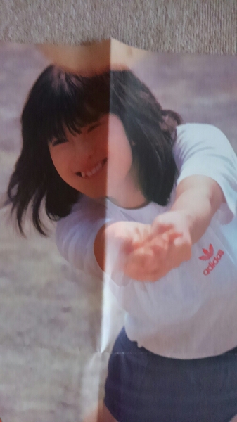 河合奈保子 付録ポスター ブルマ姿とビキニ切り抜きオマケの入札履歴