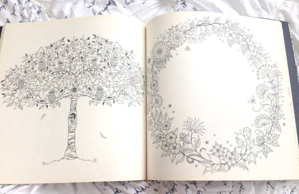 洋書 ひみつの花園 花いっぱいのぬりえブック 大人のぬりえ 技法書 売買されたオークション情報 Yahooの商品情報をアーカイブ公開 オークファン Aucfan Com