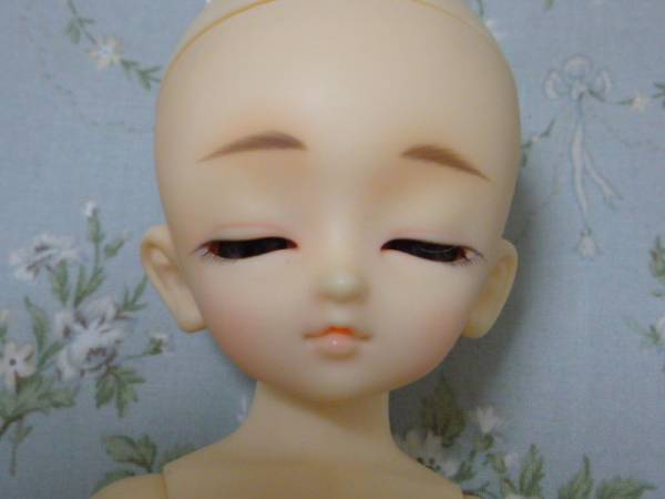 幼SD 蓮花丸スウィートドリーム(中古)(本体)｜売買されたオークション 