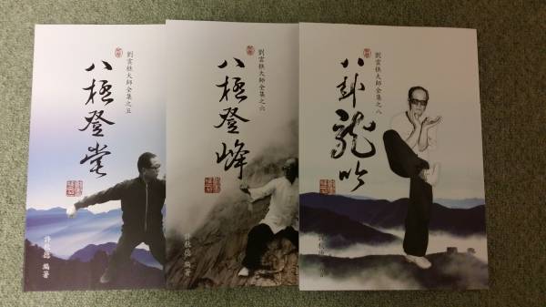 劉雲樵大師全集と大内八極拳 中国語本大内八極拳劉雲樵大師逝世十周年紀念写真集連続写真小八極大八