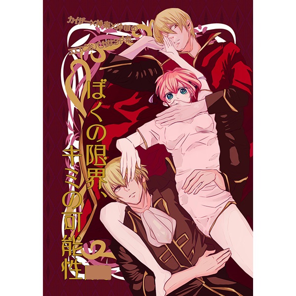 沖神 ioom niko様 ぼくの限界、キミの可能性 沖田×神楽(銀魂)｜売買