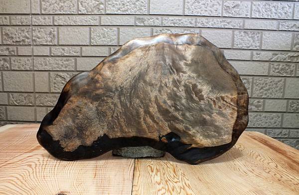 【飛騨の杢工房】カエデ自然木 飾り板　（約48cm）　 No.4832