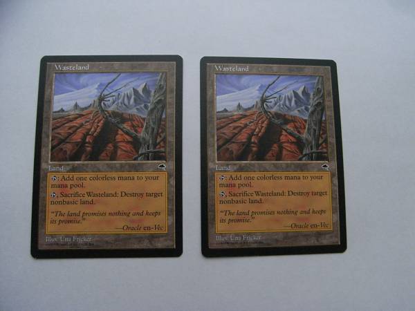 MTG 不毛の大地 英語 2枚 ○MTG:不毛の大地/Wasteland 英語版2枚セット○