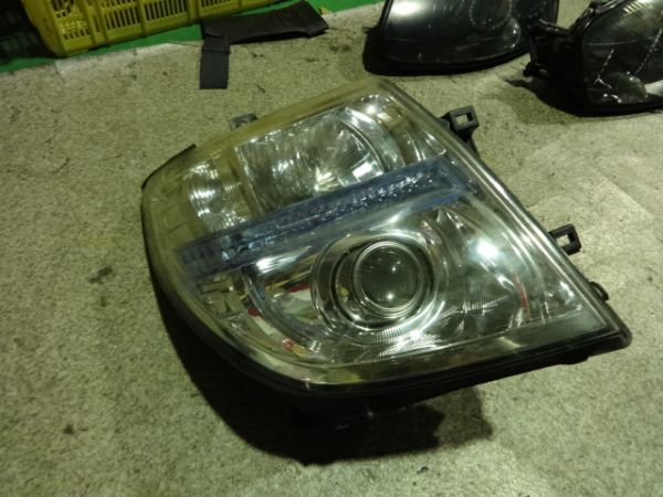 エルグランド 左 ブルー ヘッドライト HID KOITO 100-24852 【公式