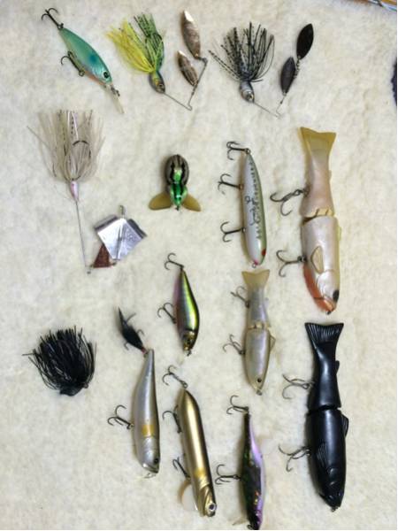 バスフィッシング ルアー 複数 画像判断_3