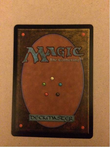 MTG 不毛の大地⁄Wasteland 英語3枚セット公式通販 MTG Wasteland/不毛