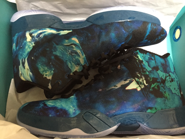 ★日本未発売★ NIKE AIR JORDAN 29 xx9 year of
