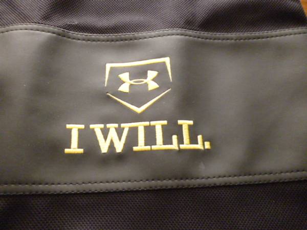 ツ*ル様 オークション Under Armour 軟式グローブ ブラック ツ*ル様