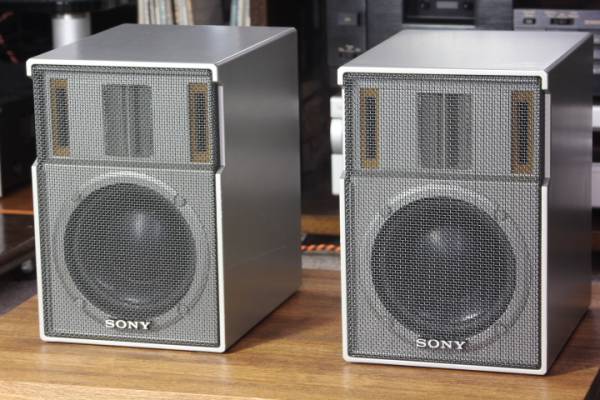 ☆SONY SS-X100 超重量級亜鉛合金製スピーカー 動作確認品