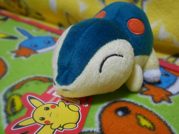 ポケモンセンター ポケドール ヒノアラシ 2002（美品）