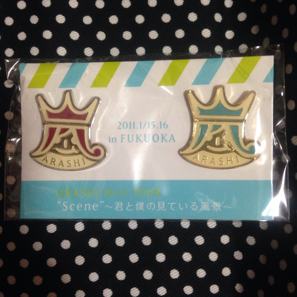 嵐 グッズ 君と僕の見ている風景 会場限定ピンバッジ 福岡_1