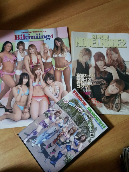 宝城カイリ　スターダム　DVD 本2冊