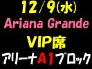 12/9 アリアナグランデ ◆ VIP席 ◆ アリーナA1 ◆ 名義無 1-4枚