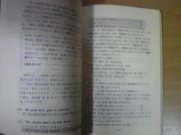 希少！大学入試ニュー・チェック1問1解英文法決戦問題集 山田弘