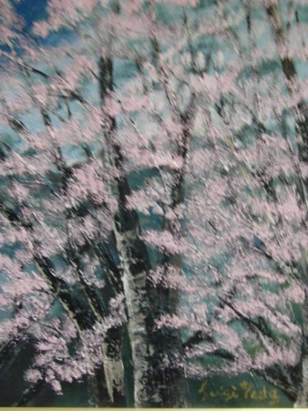 ≪国美協≫多田晴義、さくら、油絵、F10号、真作証明書 Yahoo