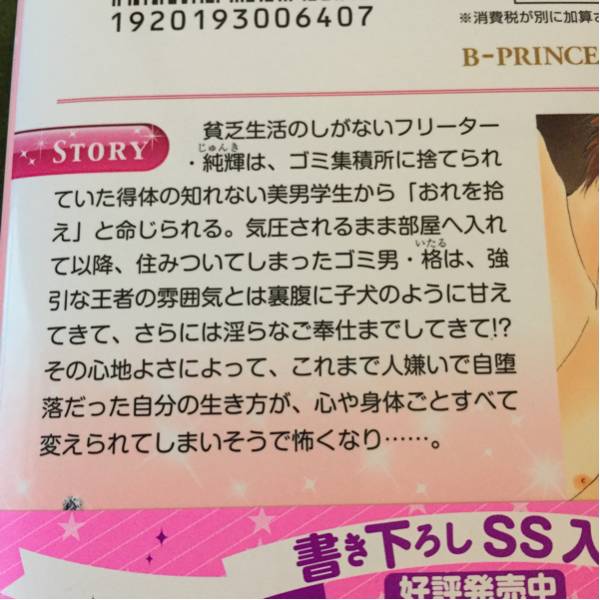 12月刊 不完全 完璧なキス 佐々木禎子 鹿乃しうこ 文庫 売買されたオークション情報 Yahooの商品情報をアーカイブ公開 オークファン Aucfan Com