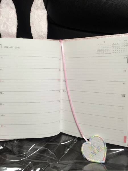 SWANKISS スワンキスノベルティ 2016 Sweet Diary 手帳