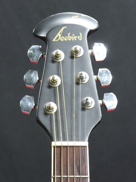 Beebird BB-450 エレアコ☆現状品(本体)｜売買されたオークション情報