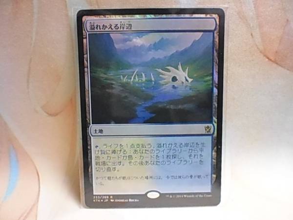 Laboratory Manualmaton's MTG、ポケカ 溢れかえる岸辺⁄Flooded Strand