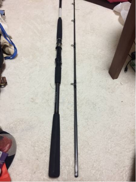 早船 ヒラメH270 ダイワ