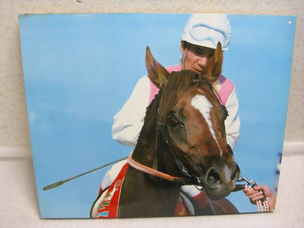 1977年有馬記念写真パネル 1977年有馬記念写真パネル 競馬パネル：テン