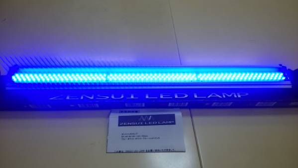 ☆新品級☆ゼンスイ ZENSUI LED LAMP 60 BLUE ☆箱付き☆ ZENSUI