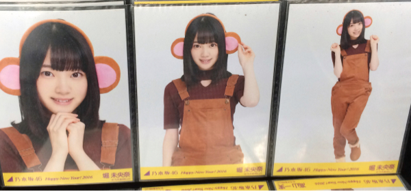 乃木坂46 堀未央奈 WEB限定生写真 干支さる 申 コンプ(グレー