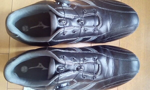 ミズノ　ワイドスタイル　4E ボア　26.0cm